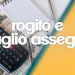 Rivoluzionario piumino pulisce termosifoni senza fatica!