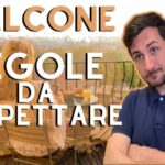 Esplosione di colori in una pianta: i fiori piccoli che ti incanteranno!