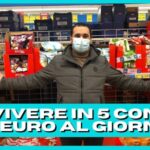 La sfida legale degli alberi d’alto fusto al confine: la giurisprudenza svela la verit&agrave;