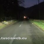 Agriturismo con piscina a Valeggio sul Mincio: un’oasi di relax e divertimento