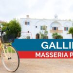 Sciame di Insetti Neri: Come Liberarsi dai Fastidiosi Volatori in Casa