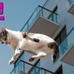 Casa multilivello: soluzioni innovative per progetti residenziali