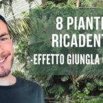 Muffa in condominio: prevenire e combattere la muffa sulle pareti perimetrali