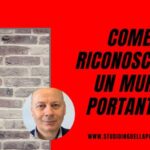 Rivoluzionario piumino pulisce termosifoni senza fatica!