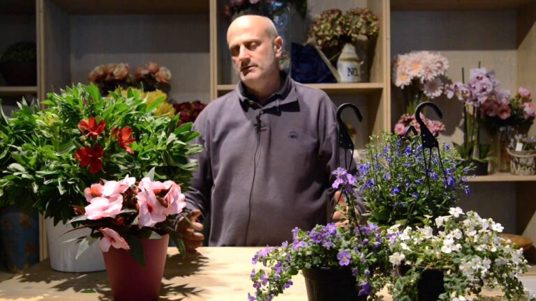 Esplosione di colori in una pianta: i fiori piccoli che ti incanteranno!