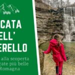Segreti svelati: La guida definitiva per chiudere cassonetti tapparelle!
