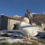 Lago di Antrona: un tesoro nascosto incastonato tra le montagne