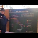 La Lombardia impone l’altezza minima del sottotetto abitabile: ecco cosa devi sapere!