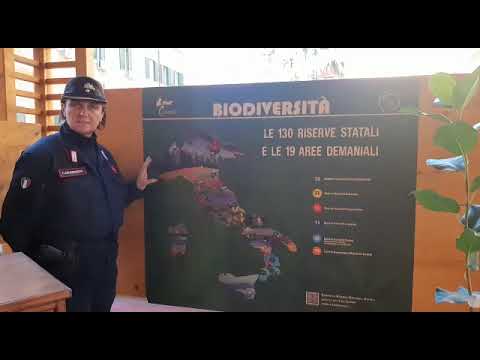 Scopri i segreti della Pianta del Policlinico Umberto I: un viaggio nel cuore del prestigioso ospedale romano