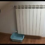 Il Fascino degli Immobili di Lusso: Scopri la Categoria Catastale!