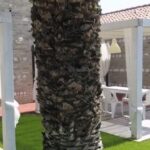 Residence Mentone sul mare: il rifugio perfetto per una vacanza indimenticabile!