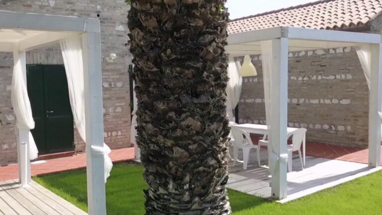 Lusso e Relax: Residence con Piscina a Marcelli di Numana