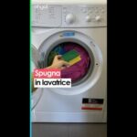 Piccola ma Spaziosa: Come Trasformare una Casa da 60 mq in un Open Space
