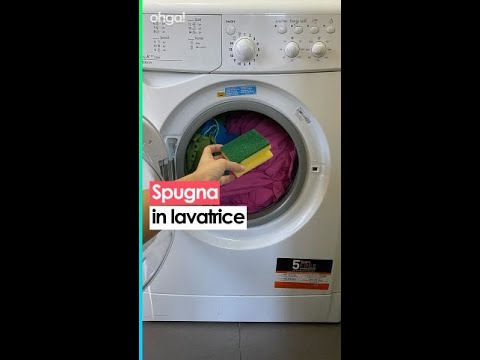 Lavatrice pulita: scopri il trucco per eliminare i peli del cane in soli 3 semplici passi!