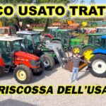Scopri come ottimizzare lo spazio con porte piccole per il tuo ripostiglio!