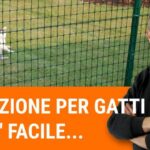 Riduci il costo! Lettura contabilizzatori di calore per un condominio efficiente