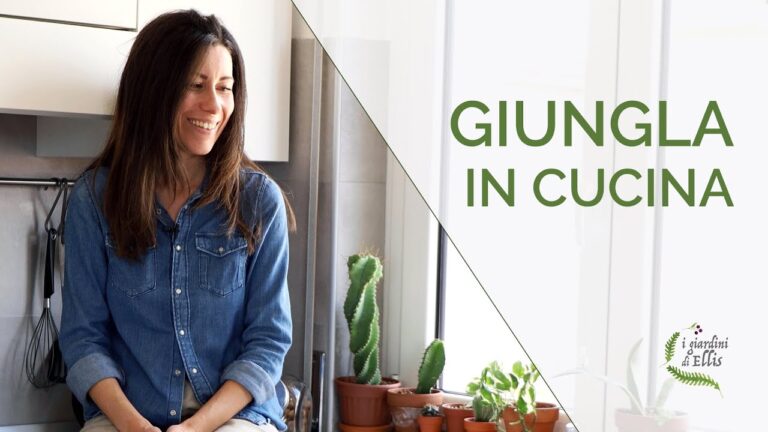 Piante sospese nella cucina: un tocco verde sopra ogni pensile!