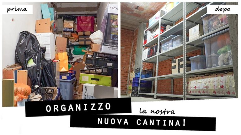 I segreti per arredare la tua cantina di casa: trasforma lo spazio in un angolo accogliente in soli 5 passi!