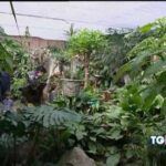 Scopri il suggestivo Lago delle Locce: Guida essenziale per raggiungerlo!