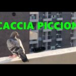 Il Misterioso Caso dell’Azione di Spoglio: Quando il Cambio di Serratura Diventa Cruciale
