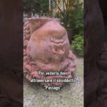 Torino: scopri le stanze a ore pi&ugrave; esclusive della citt&agrave;!