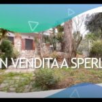 Segreti nascosti nel centro storico di Ascea Marina: scopri il fascino autentico del paese