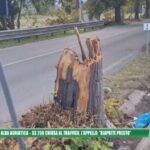 Il trucco dei colori per trasformare gli open space: svelati i segreti delle pareti