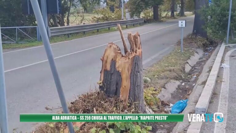 Sei pronto per l’uscita dell’autostrada sulla meravigliosa Alba Adriatica?