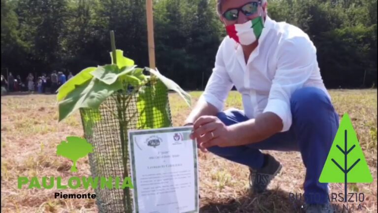 Assoluto Srls: la startup di successo che sta conquistando Busto Arsizio