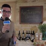Agriturismo con piscina a Valeggio sul Mincio: un’oasi di relax e divertimento