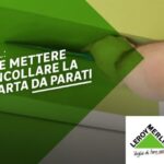 Sciame di Insetti Neri: Come Liberarsi dai Fastidiosi Volatori in Casa