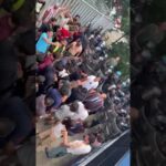 Piacevole residenza temporanea per anziani a Parma: comfort e assistenza garantiti!