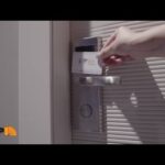 La Porta Blindata con Gattaiola: L’Innovazione che Unisce Sicurezza e Libert&agrave; Domestica!
