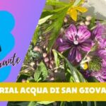 Freddo in casa? Scopri cosa fare quando l’acqua non circola nel termosifone!