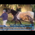Riscoprire lo charme delle maniglie finestre in ottone: ricercate e vintage