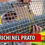Vivere al meglio a Fiorenzuola: scopri i segreti dei residenti!