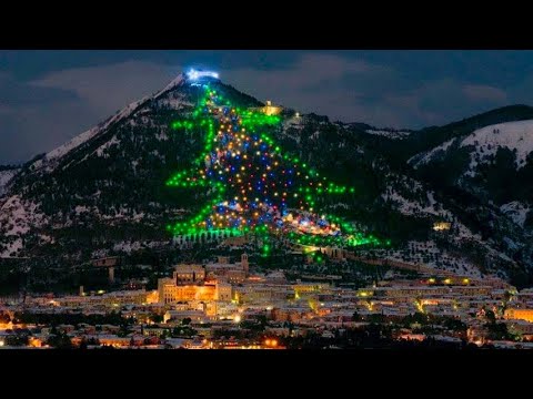 Casa sull’albero a Gubbio: un sogno di legno e natura.