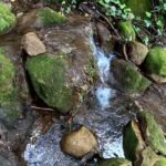 Cairo Montenotte: la distanza dal mare &egrave; il segreto del suo fascino!