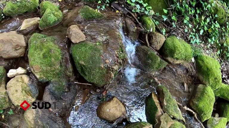 Altavilla Silentina: la magia di un piccolo borgo lontano dal mare, incantevole e autentico
