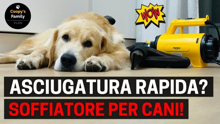 La cabina asciugatrice per cani: uno strumento indispensabile dopo il bagno del tuo amico a quattro zampe