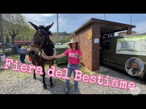 Agriturismo Alta Val Trebbia: Un’oasi di relax e tradizione, a contatto con la natura
