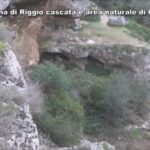 Sciame di Insetti Neri: Come Liberarsi dai Fastidiosi Volatori in Casa