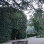 Sopravvivere all’outsourcing senza rinunciare al comfort: come avere corrente in tenda