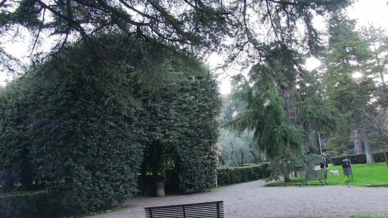 Podere San Lorenzo Carmignano: il segreto toscano del vino fatto a regola d’arte
