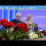 Esplosione di colori in una pianta: i fiori piccoli che ti incanteranno!