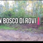 Pittura lavagna: vantaggi e svantaggi di un trend sorprendente