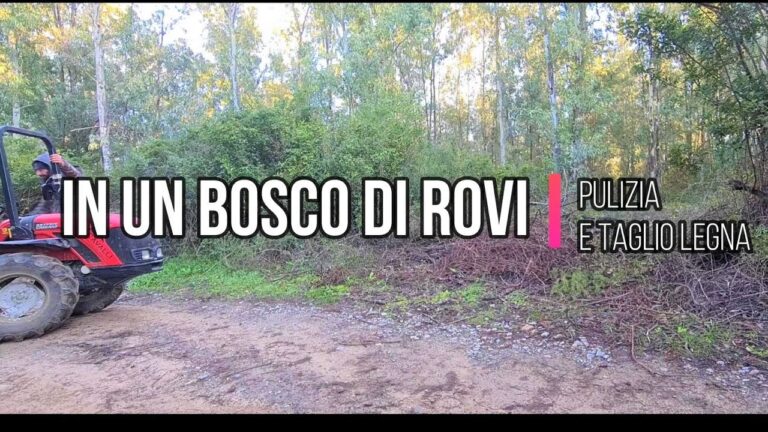 Terreno abbandonato da 5 anni: un’opportunit&agrave; per la rinascita urbana?