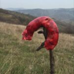 I segreti delle casette nel bosco in Friuli: umanit&agrave; ritrovata in 70 metri quadrati