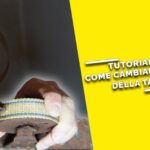 Vivere al meglio a Fiorenzuola: scopri i segreti dei residenti!