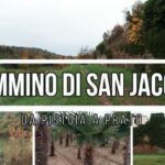 Rivazzurra, il colorato mercato settimanale di Rimini: scopri le sue gemme in 70 caratteri!